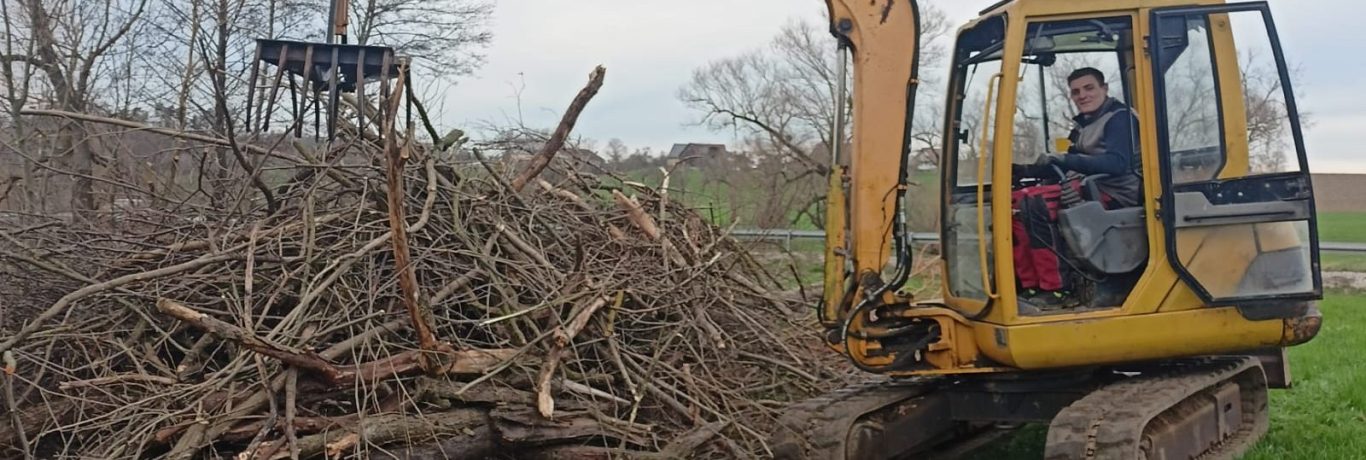 Image by grunzibaer from Pixabay